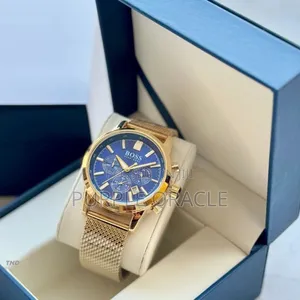 Boss Stainless Steel Chronograph Watch