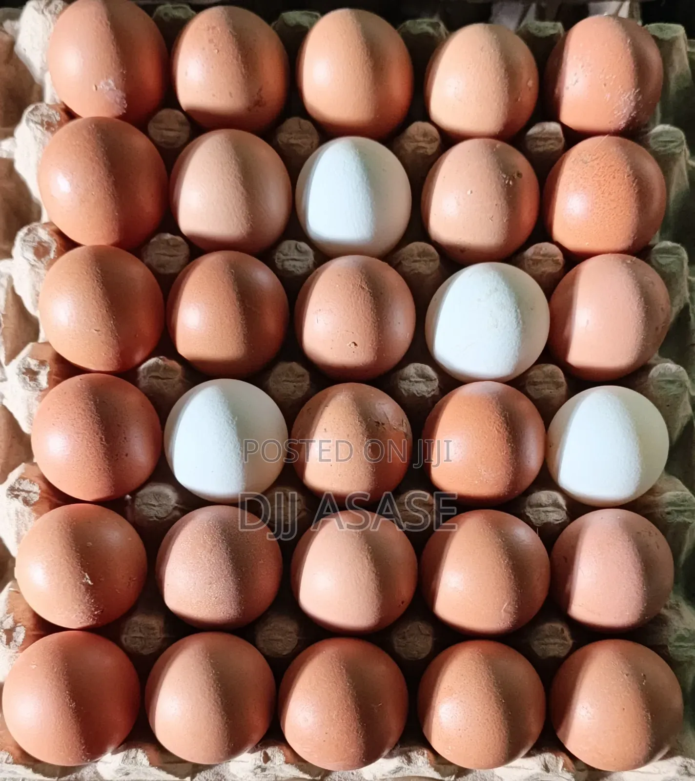 Fresh Eggs Available