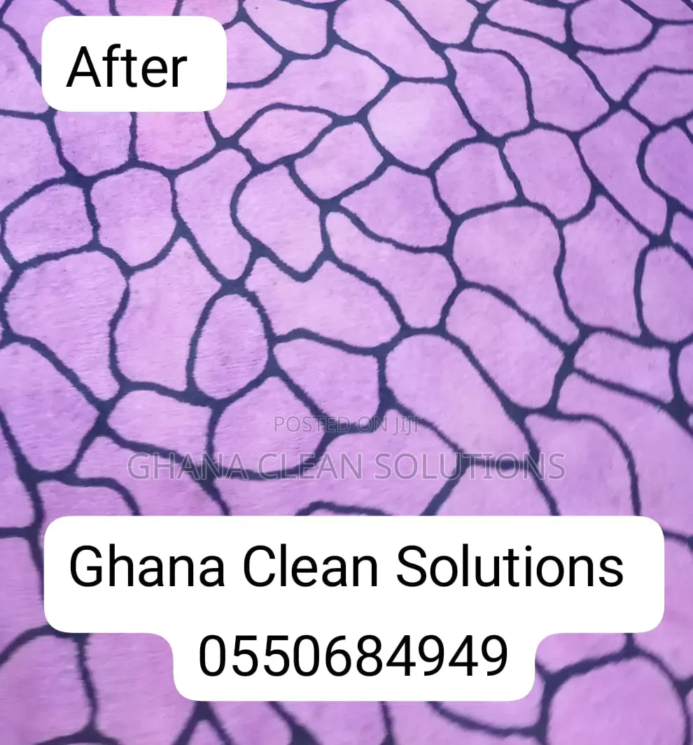 Professional Cleaners| Ghana Clean Solutions