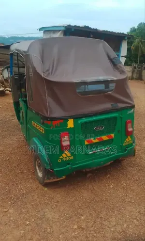 Bajaj Avenger 150 Street 2024 Green