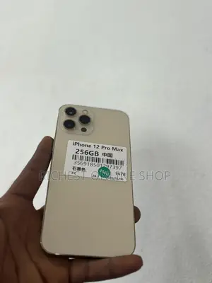 Apple iPhone 12 Pro Max 256 GB Gold