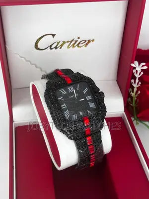 Solid Ice Cartier Watches