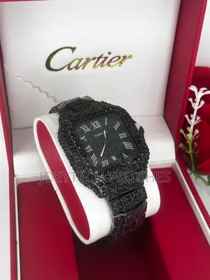 Solid Ice Cartier Watches