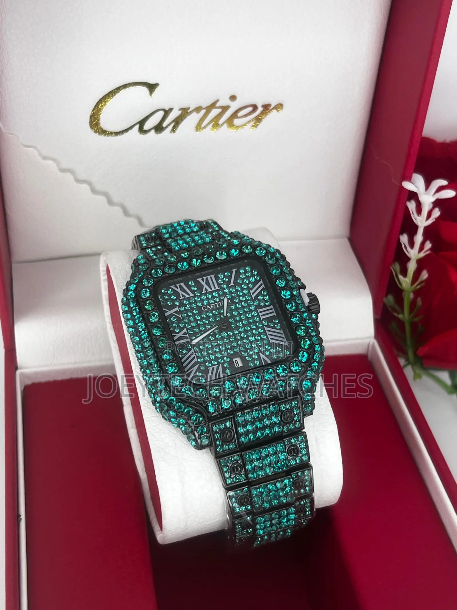 Solid Ice Cartier Watches