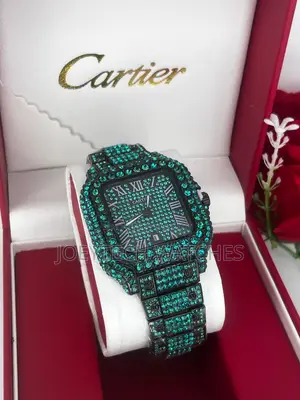 Solid Ice Cartier Watches