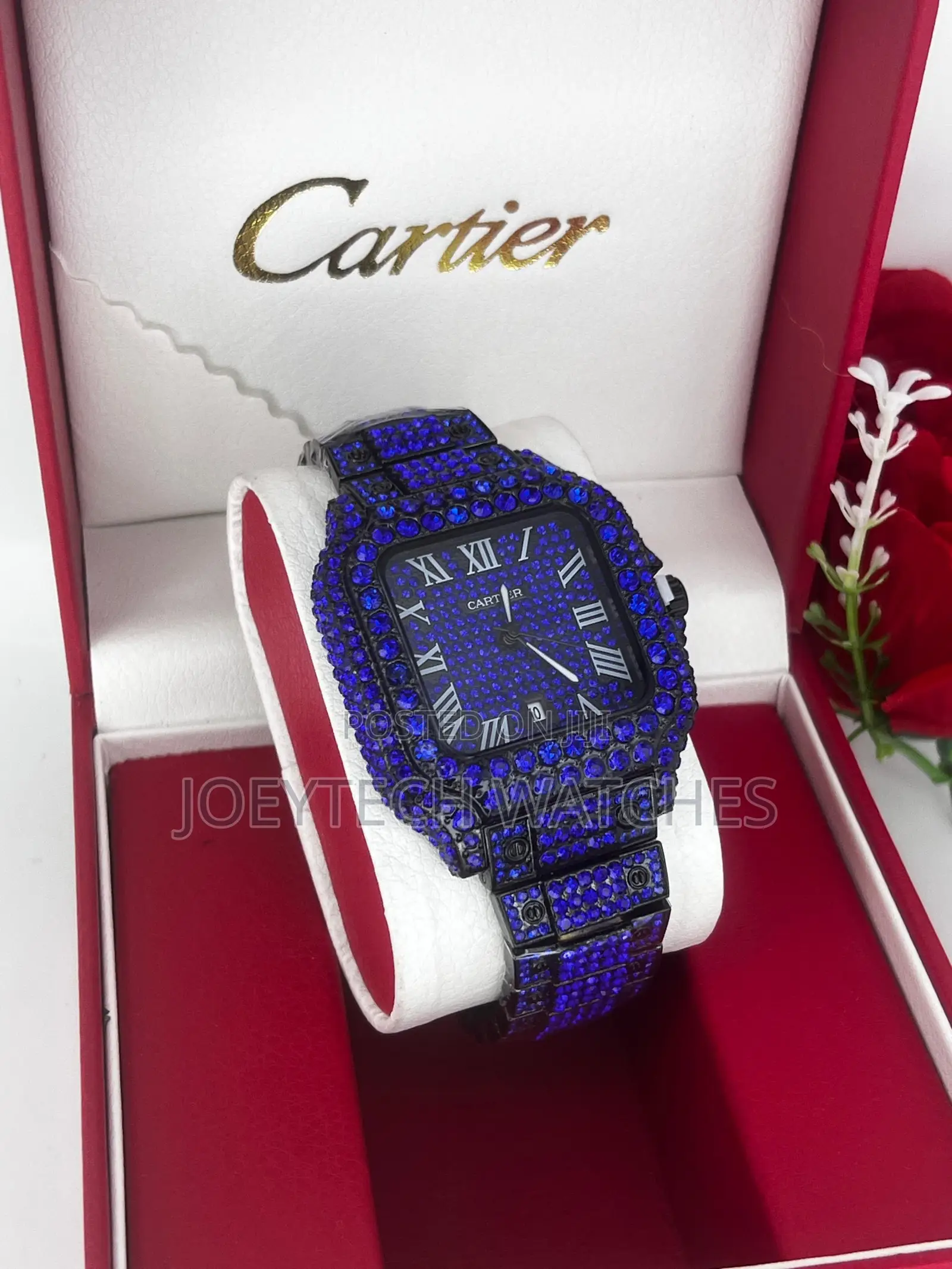 Solid Ice Cartier Watches
