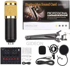 Professional Condenser Microphone V8 Soundcard