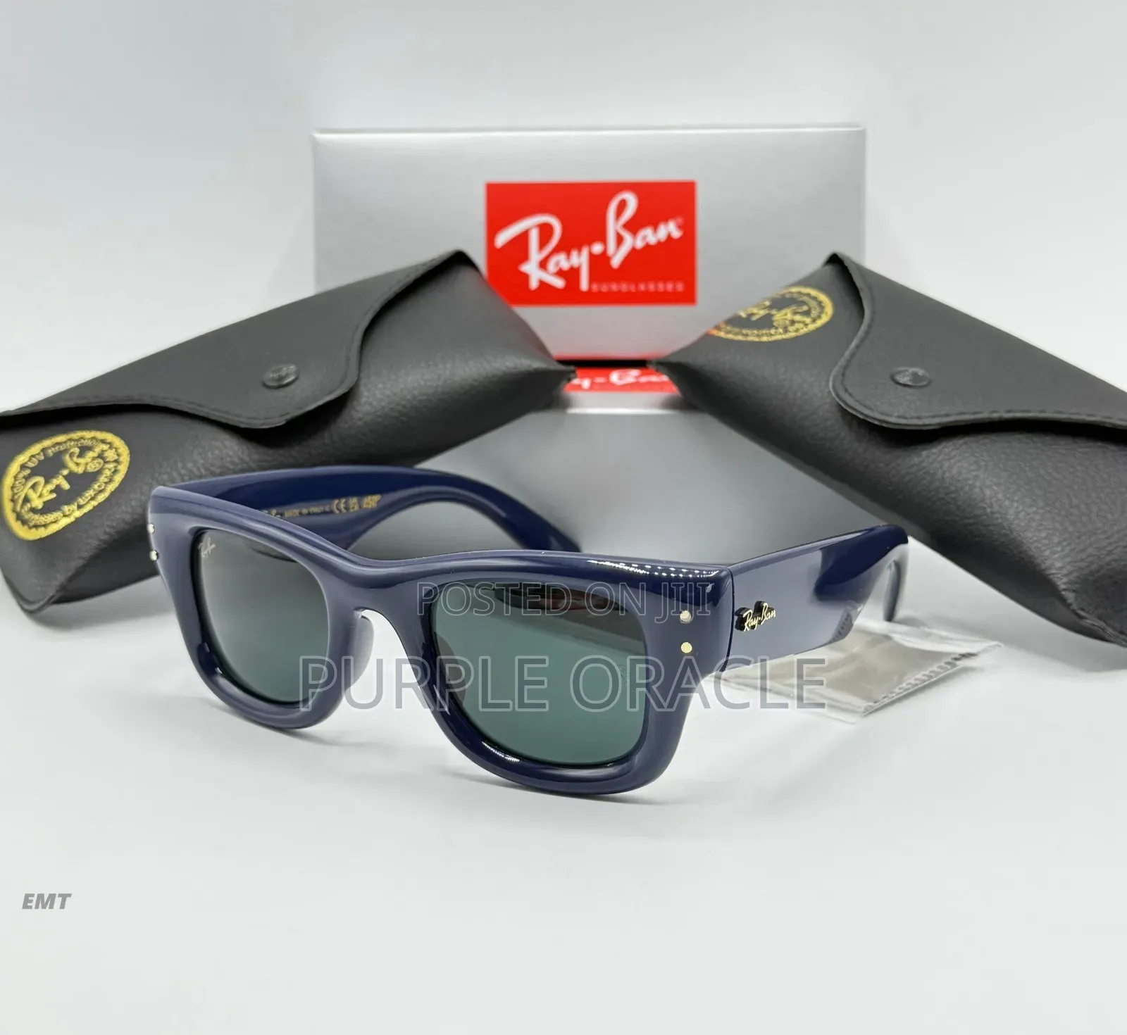 Rayban Men’ Acetate Sunglasses