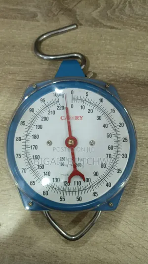 Hanging Scale 100kg
