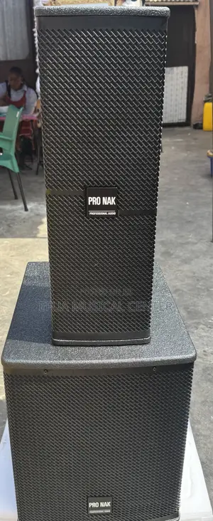 Pro Nak Pa System Featuring Line Arrays and Subwoofer.