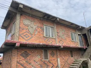 Premium Quality and Colorful Bricks Tiles