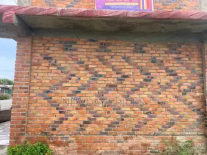 Premium Quality and Colorful Bricks Tiles