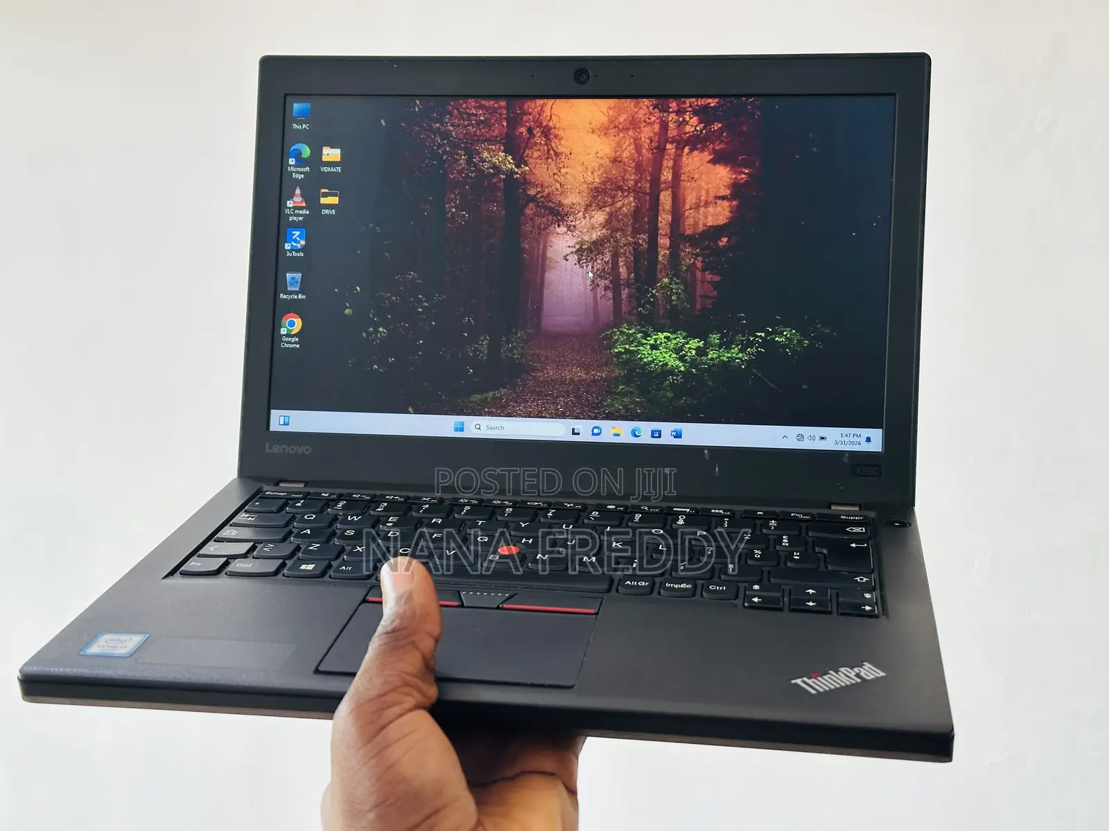 Laptop Lenovo ThinkPad X260 8GB Intel Core i3 HDD 500GB
