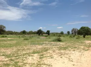 Land For Sale At Nsawam Amanfrom -genuine Title, Fast Developing Area