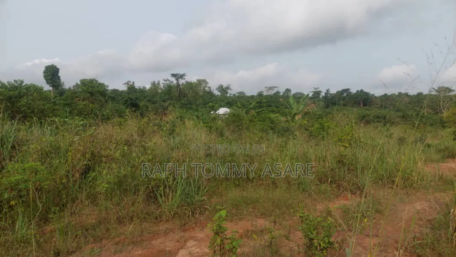 Animal and Crop Farming One and Half Acre Land for Sale