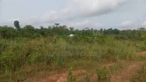 Animal and Crop Farming One and Half Acre Land for Sale