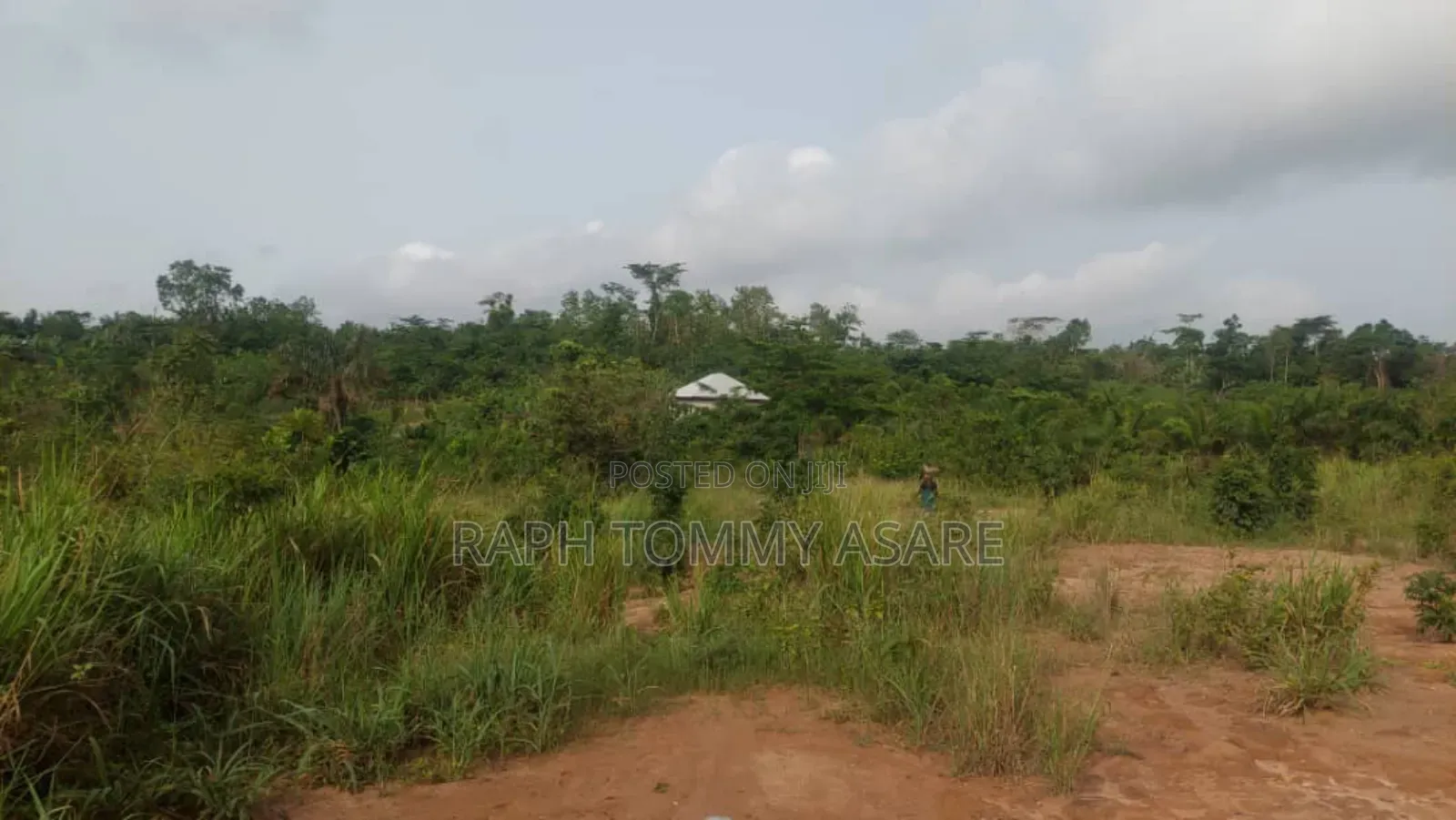 Animal and Crop Farming One and Half Acre Land for Sale