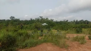 Animal and Crop Farming One and Half Acre Land for Sale