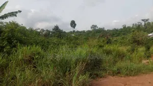 Animal and Crop Farming One and Half Acre Land for Sale