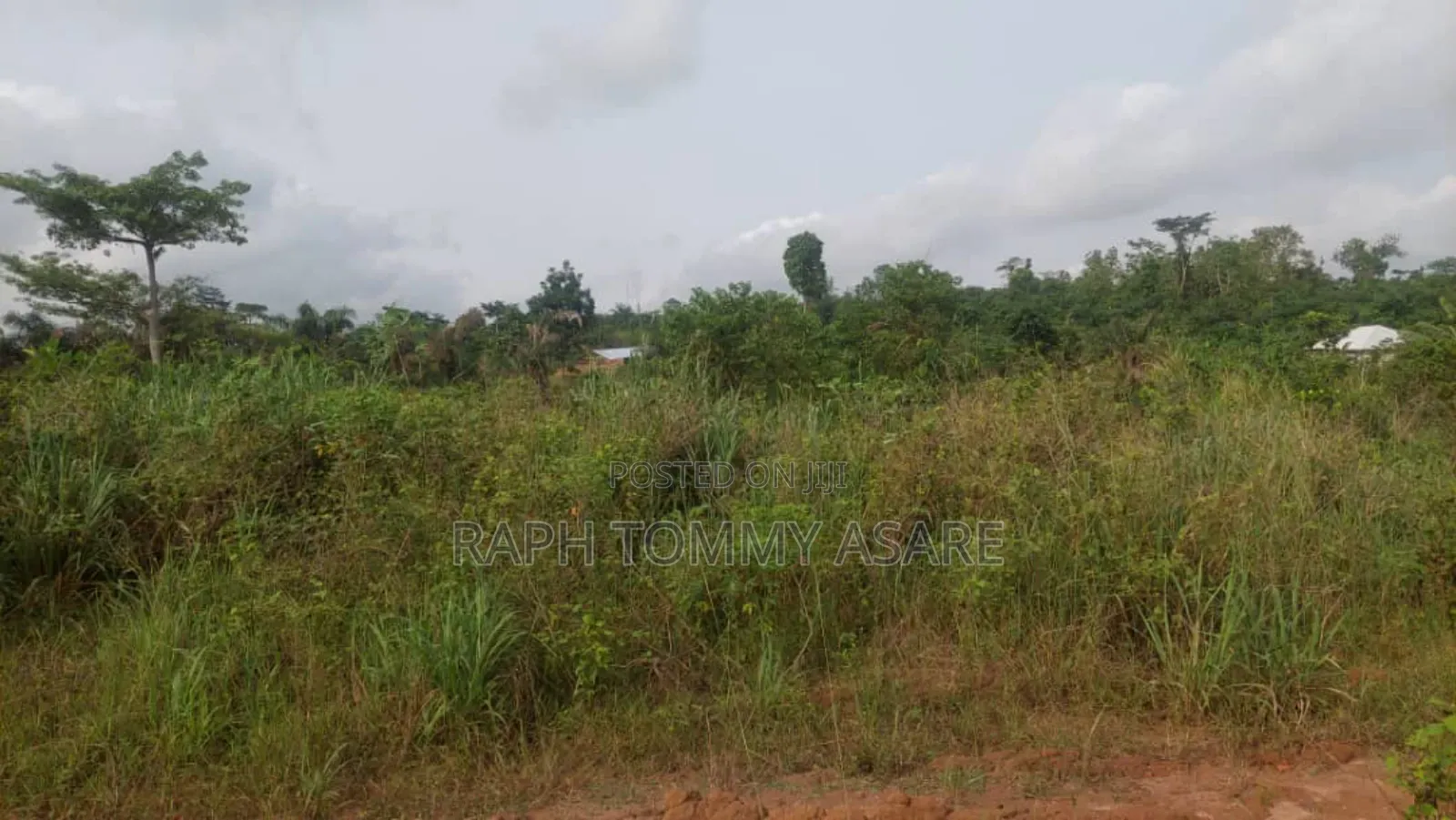 Animal and Crop Farming One and Half Acre Land for Sale