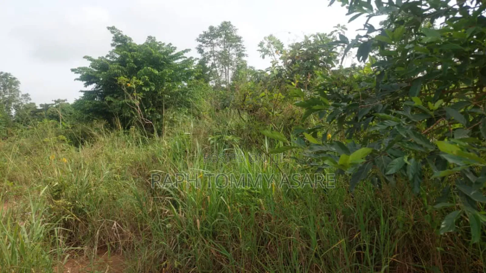 Animal and Crop Farming One and Half Acre Land for Sale
