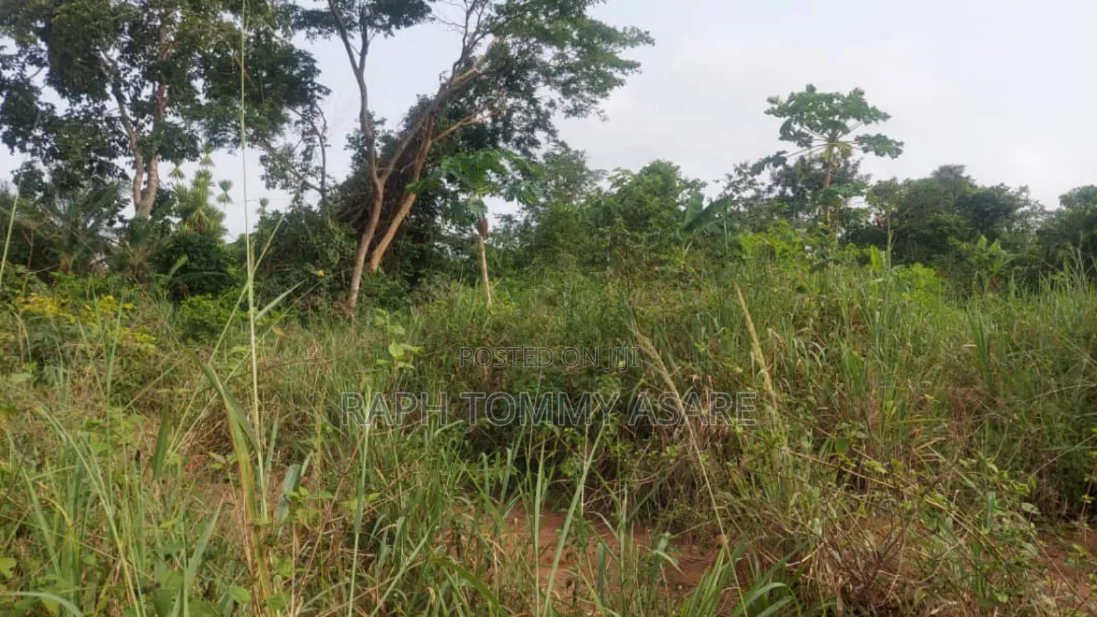 Animal and Crop Farming One and Half Acre Land for Sale
