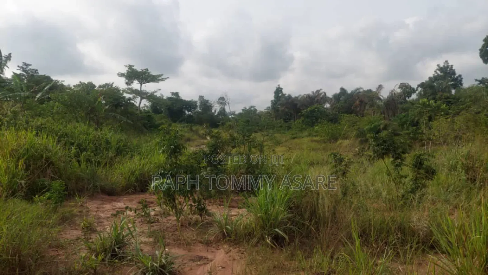 Animal and Crop Farming One and Half Acre Land for Sale