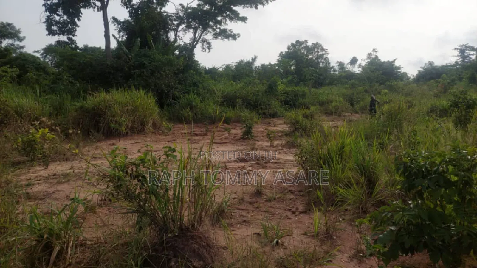 Animal and Crop Farming One and Half Acre Land for Sale