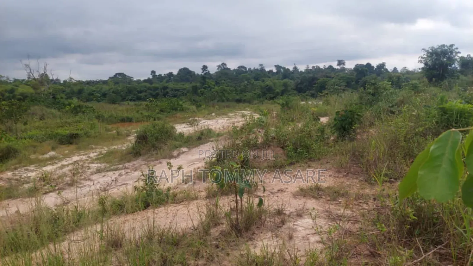Two and Half Acres of Farm Land for Sale at Kwabere Kasaam