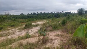 Seven And Half Acres Of Farm Land For Sale At Kwabere Kasaam