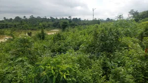 Two and Half Acres of Farm Land for Sale at Kwabere Kasaam