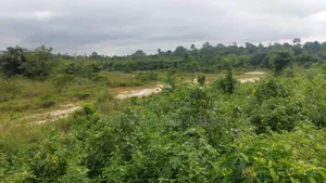 Two and Half Acres of Farm Land for Sale at Kwabere Kasaam