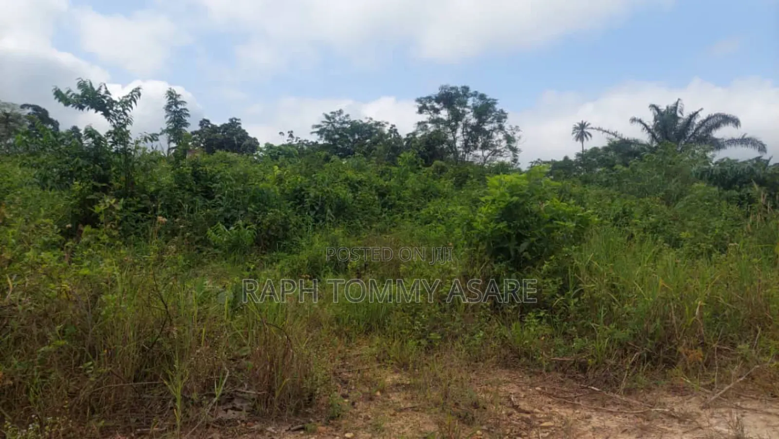 Two and Half Acres of Farm Land for Sale at Kwabere Kasaam