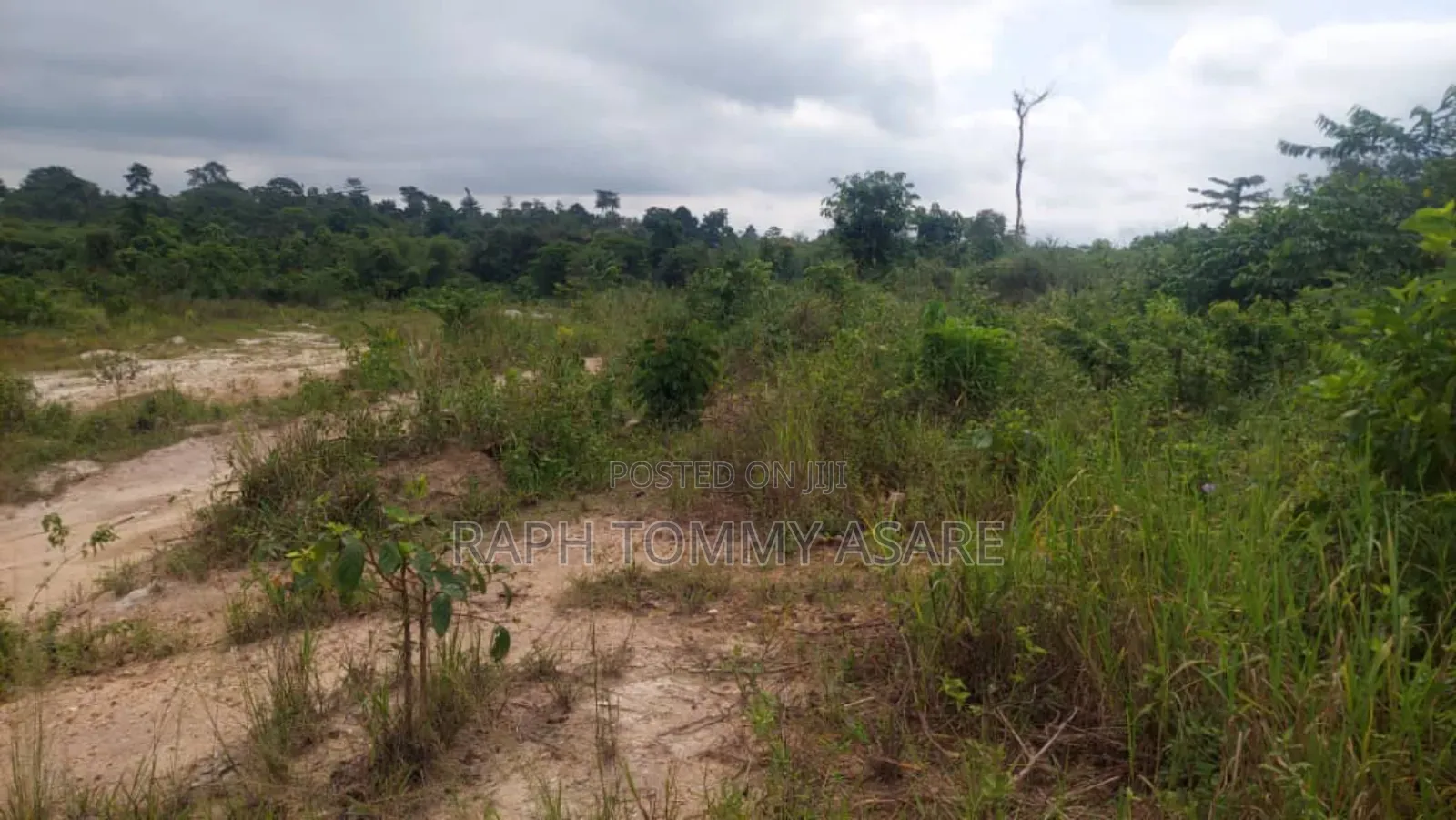 Two and Half Acres of Farm Land for Sale at Kwabere Kasaam