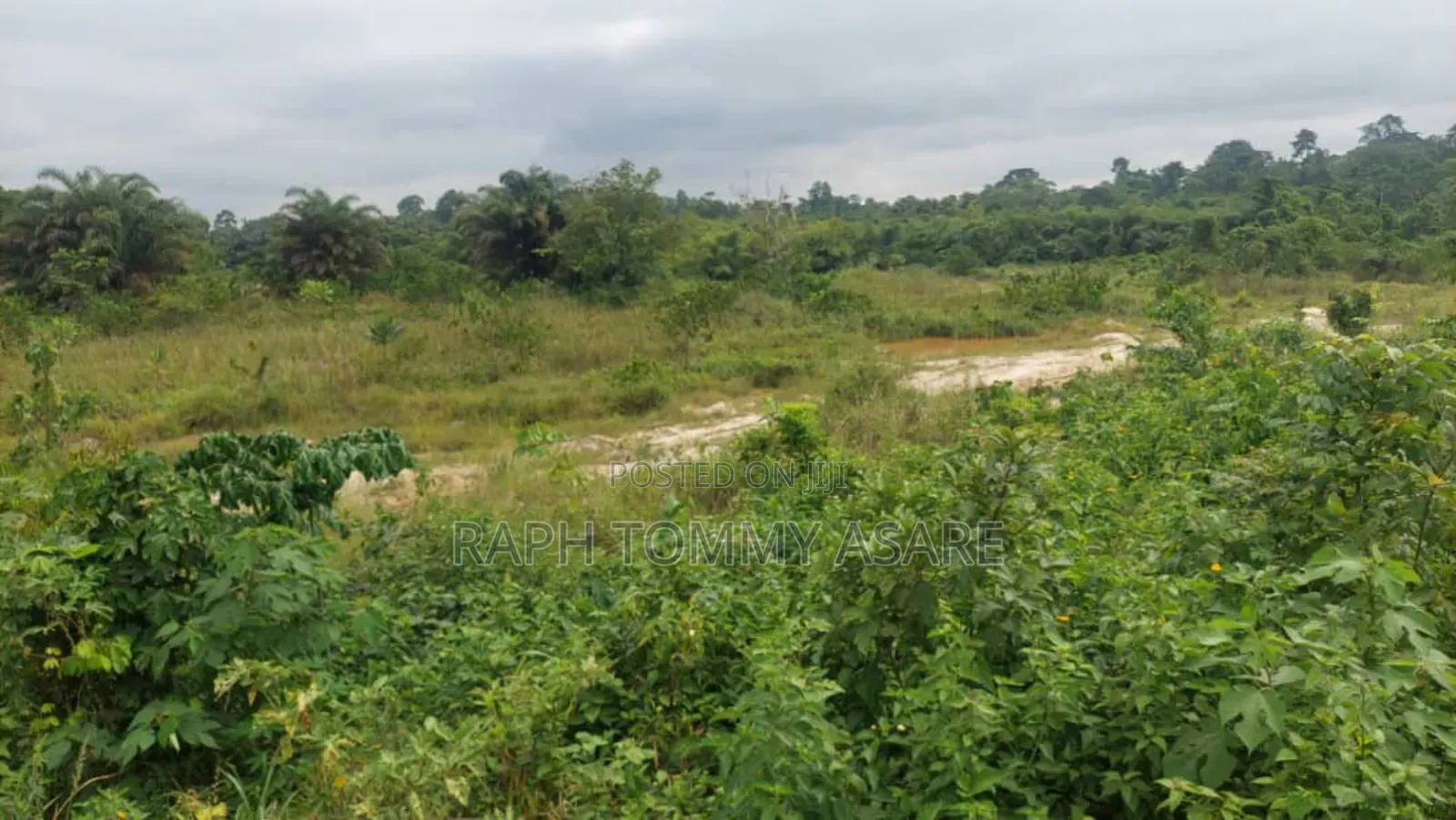 Two and Half Acres of Farm Land for Sale at Kwabere Kasaam