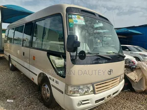 Toyota Coaster 2010 Brown