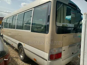 Toyota Coaster 2010 Brown