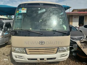 Toyota Coaster 2010 Brown