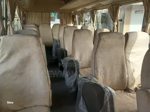 Toyota Coaster 2010 Brown