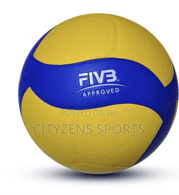 Mikasa Volleyball