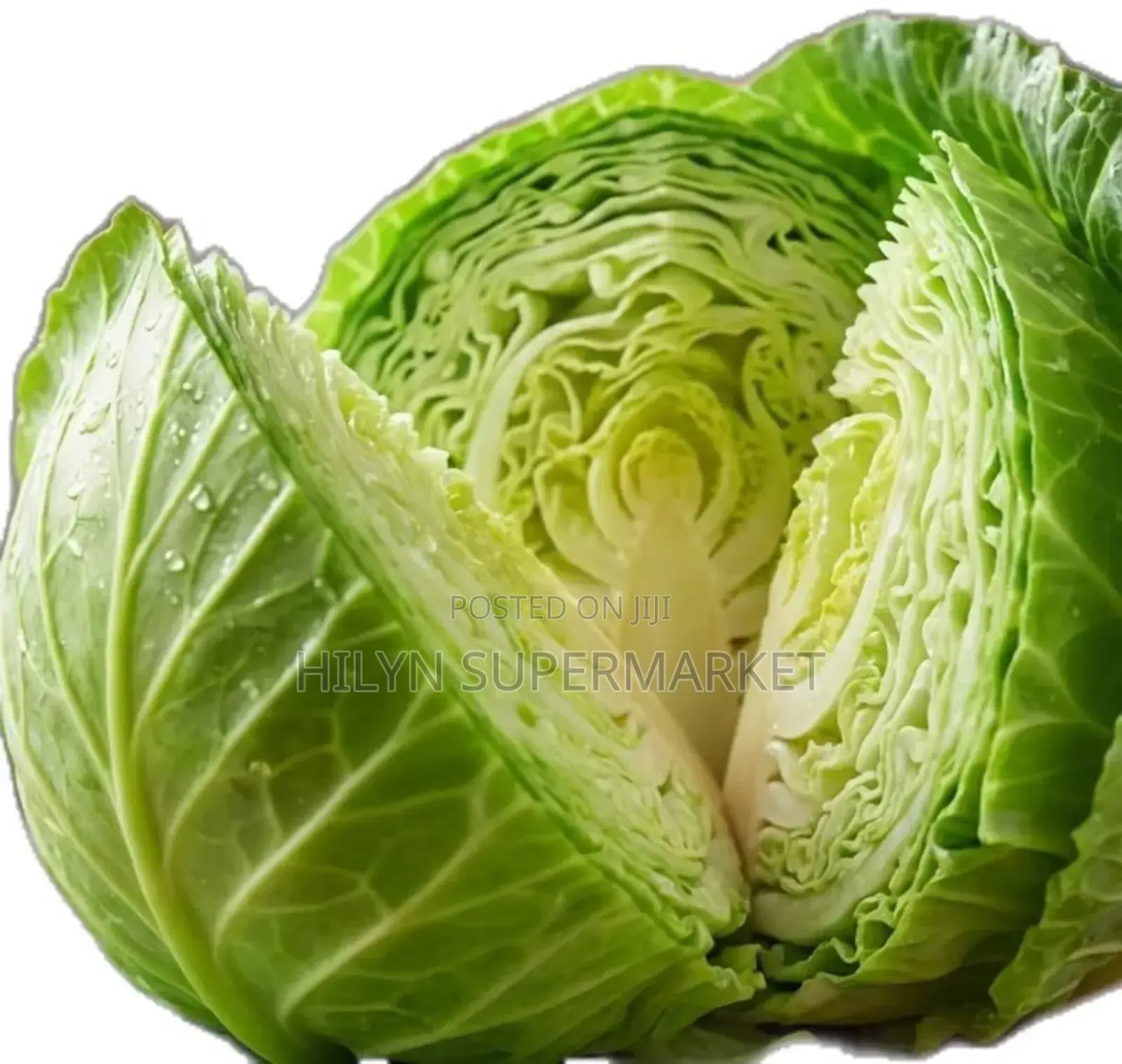 Fresh Cabbage