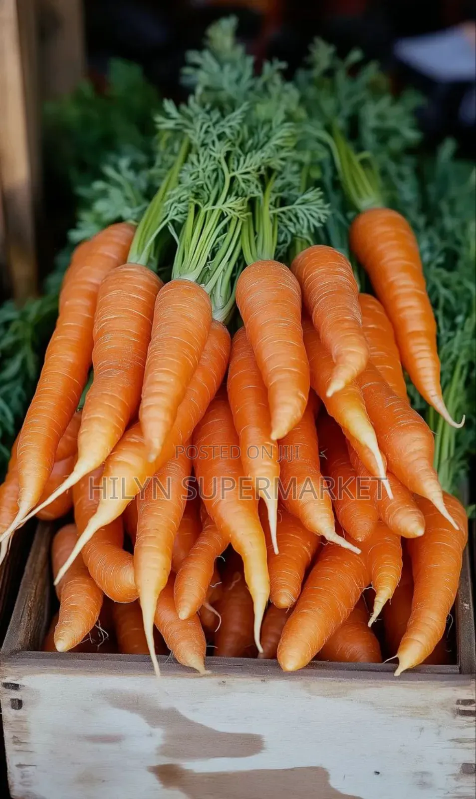 Fresh Carrot