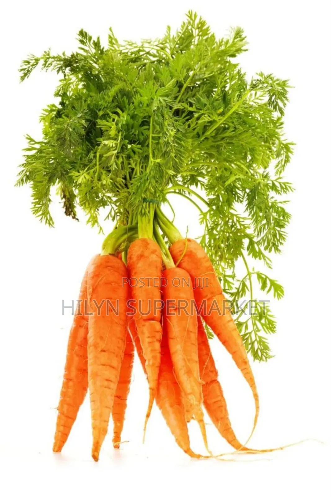 Fresh Carrot