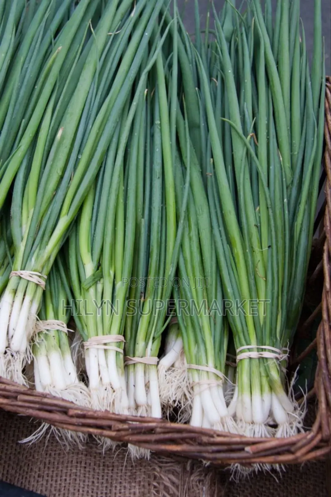 Spring Onions