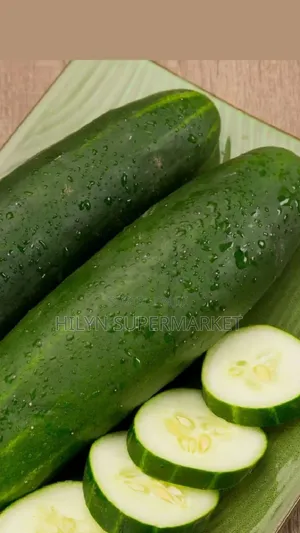 Fresh Cucumber