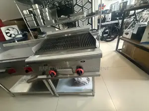 Commercial Standing Charcoal Gas Grill