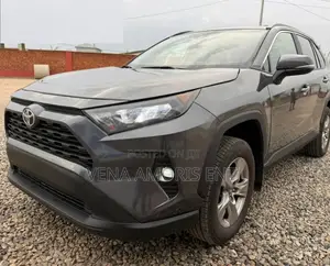 Toyota RAV4 2023 Gray