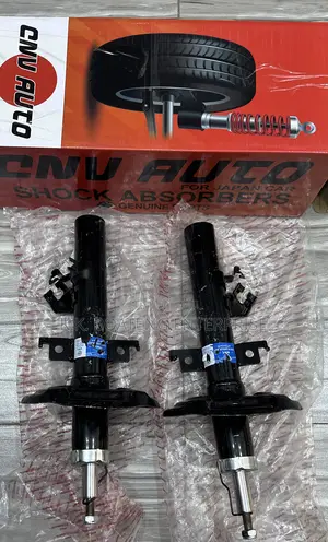 2014-2020 Nissan Rogue Front Shock Absorber