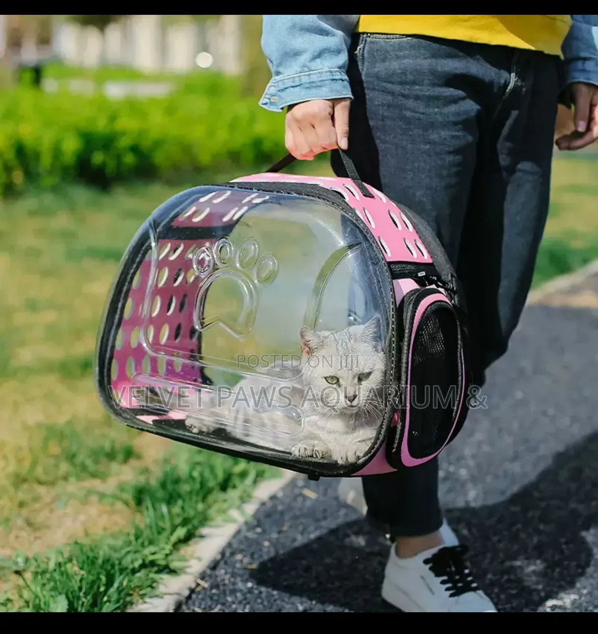 Plastic Dog and Cat Carrier (Large)