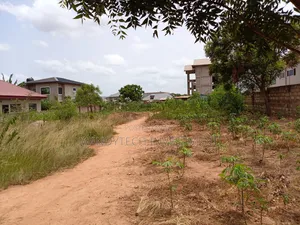 Two Classic Plots of Land - Prime Location